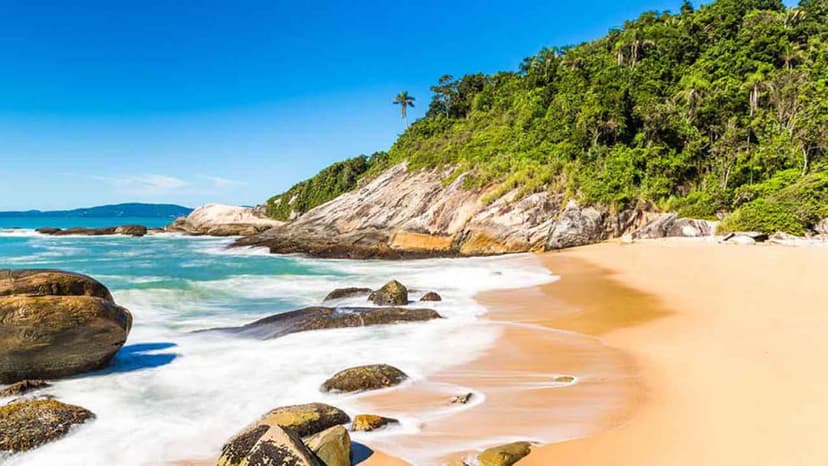 Qualidade de vida que se traduz em sustentabilidade
